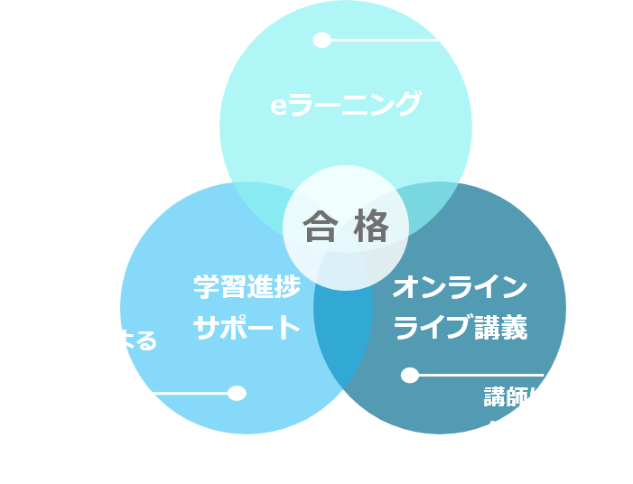 Biz Online School とは?