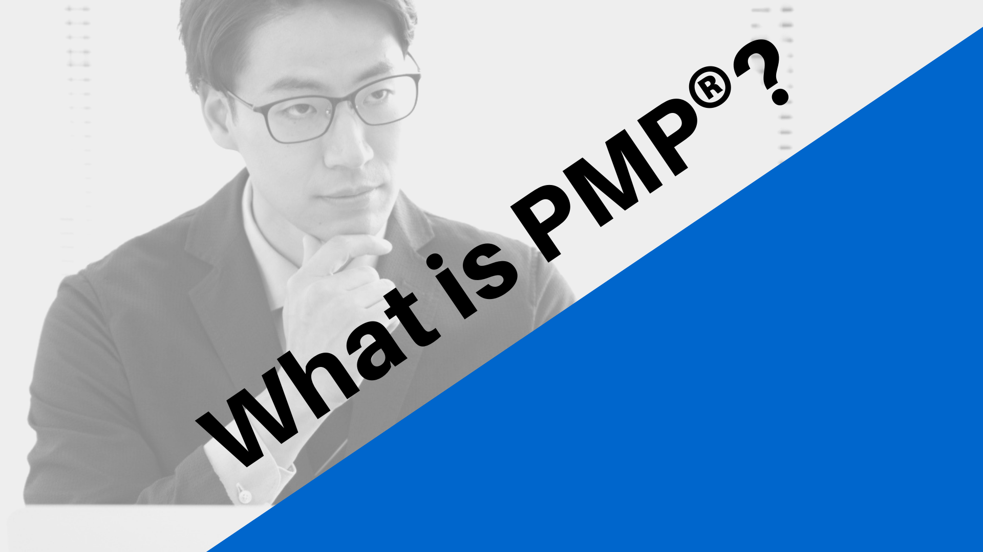 バナー：What is PMP(R)