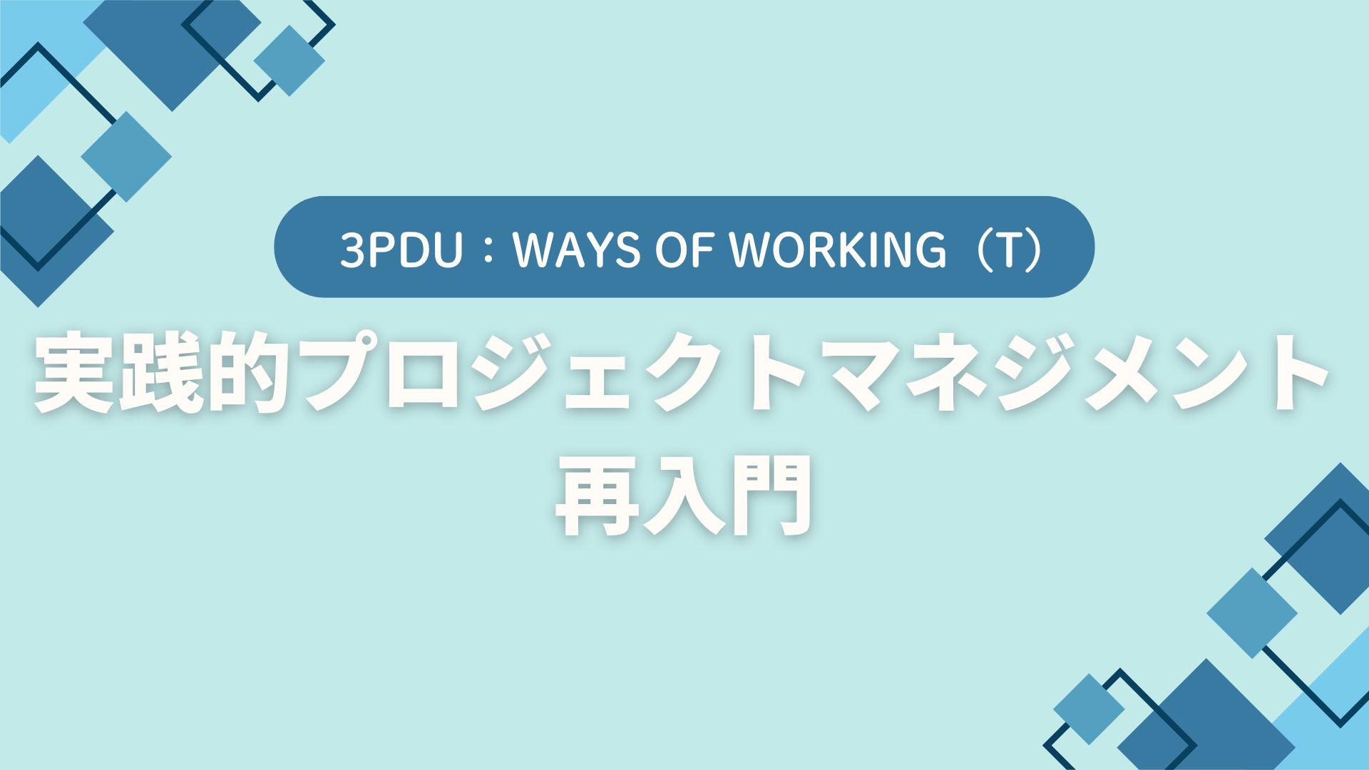 実践的プロジェクトマネジメント再入門（3PDU取得：テクニカル）